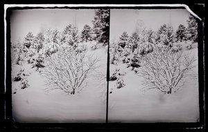 Parc Prospect, Brooklyn, vers 1872-87 - George Bradford Brainerd