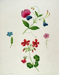 Une illustration tirée de 