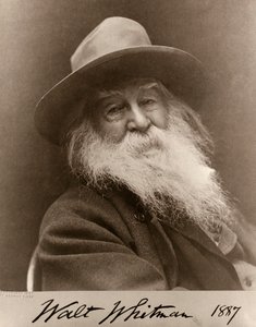 Portrait de Walt Whitman en 1887 - George C. Cox