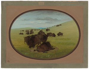 Un bourbier de buffles - George Catlin