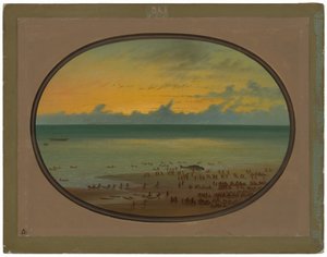 Une baleine échouée - Klahoquat - George Catlin