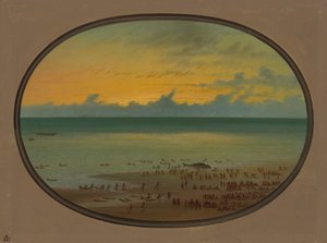 Une baleine échouée - Klahoquat, 1855-1869 - George Catlin