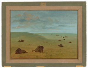 Après la chasse au bison - Sioux - George Catlin