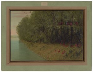 Une forêt amazonienne - Vue du rivage - George Catlin