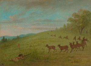 Chasse à l