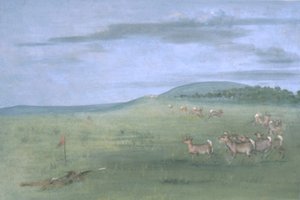 Tir de l
