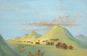 Batiste, Bogard et moi approchant des buffles sur le Missouri - George Catlin