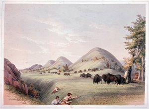 Chasse au bison - George Catlin