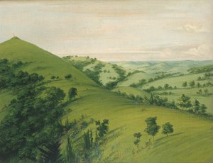 Tombe de Merle, vue arrière, Prairies émaillées de fleurs, 1832 - George Catlin