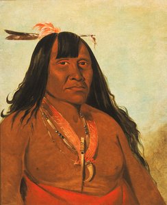 Bón-són-gee, Nouveau Feu, un chef de bande - George Catlin