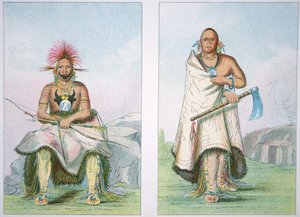 Taureau Buffalo et le Grand Élan