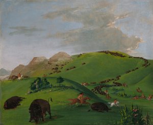 Buffalo Chase, embouchure du Yellowstone