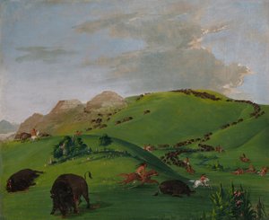 Chasse au bison, embouchure du Yellowstone - George Catlin