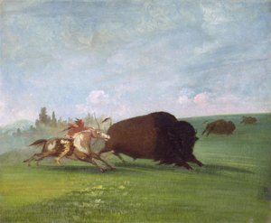 Chasse au Bison, une Mort Unique, 1832-1833