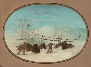 Chasse au bison dans les congères - Ojibbeway, 1861-1869 - George Catlin