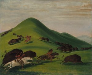 Buffalo Chase au-dessus de Prairie Bluffs - George Catlin