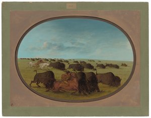 Chasse au bison, avec accidents - George Catlin
