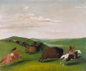 Buffalo Chase avec arcs et lances