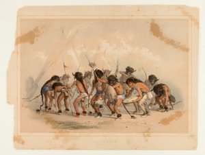 Danse du buffle n°8