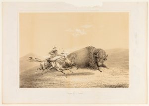 Chasse aux bisons, Chase--no. 5 - George Catlin