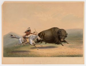 Chasse aux bisons, Chase--no. 5