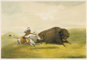 Buffalo Hunt Chase (lithographie couleur)