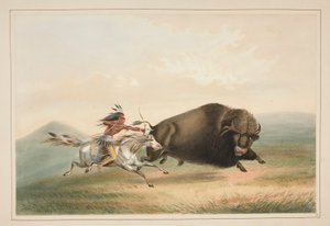 Chasse au bison, poursuite, pl. 5 du Portfolio des Indiens d