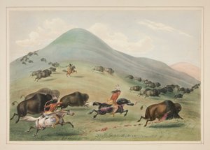 Chasse au bison, poursuite, pl. 6 du Portfolio des Indiens d