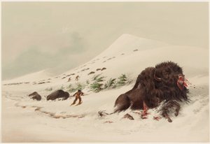  - George Catlin