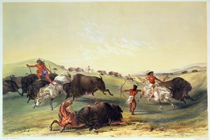 Chasse au bison, planche 7 de la collection des Indiens d