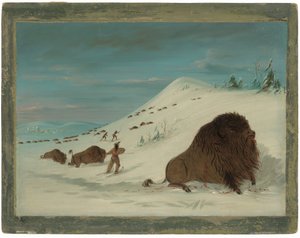 Lancement de buffles dans les congères - Sioux - George Catlin