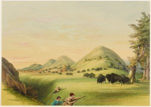 Chasse au bison, approche dans un ravin - George Catlin