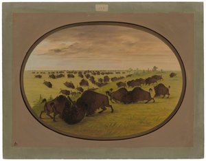 Taureaux se battant - George Catlin