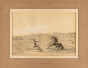 Attraper le cheval sauvage--no. 4 - George Catlin