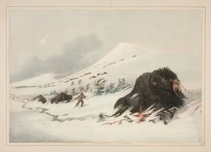  - George Catlin