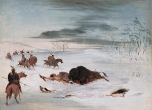 Taureau de Buffle mourant dans une congère - George Catlin