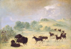 Elan et buffle font connaissance, Texas - George Catlin