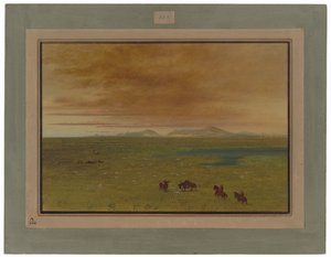 Grand lavoir, Pampa del Sacramento - George Catlin