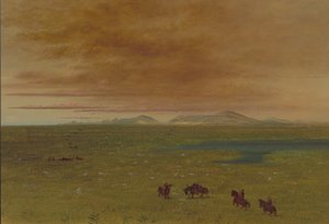 Grand Lavoir, Pampa del Sacramento, 1854-1869 - George Catlin