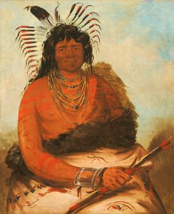 Hah-nee, Le Castor, un guerrier - George Catlin