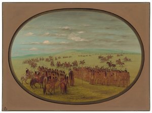 Course de chevaux - Minatarrees