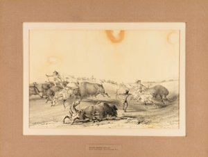Indiens chassant le buffle--no. 7