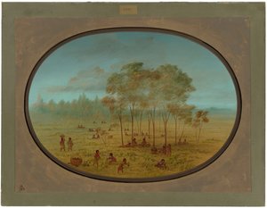 Indiens Kiowa cueillant des raisins sauvages - George Catlin