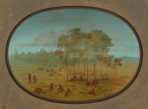 Indiens Kiowa Récoltant des Raisins Sauvages, 1861-1869 - George Catlin