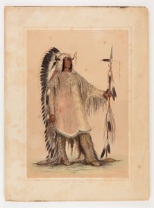 Mah-to-toh-pa, le chef des Mandans - George Catlin