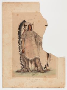 Mah-to-toh-pa, le chef des Mandans - George Catlin