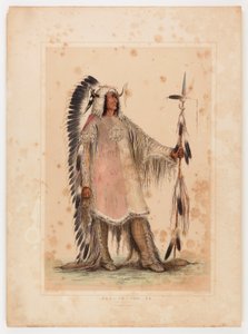 Mah-to-toh-pa, le chef des Mandans - George Catlin
