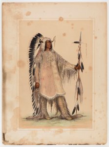 Mah-to-toh-pa, le chef des Mandans - George Catlin