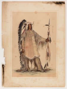 Mah-to-toh-pa, le chef des Mandans - George Catlin