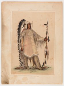 Mah-to-toh-pa, le chef des Mandans - George Catlin
